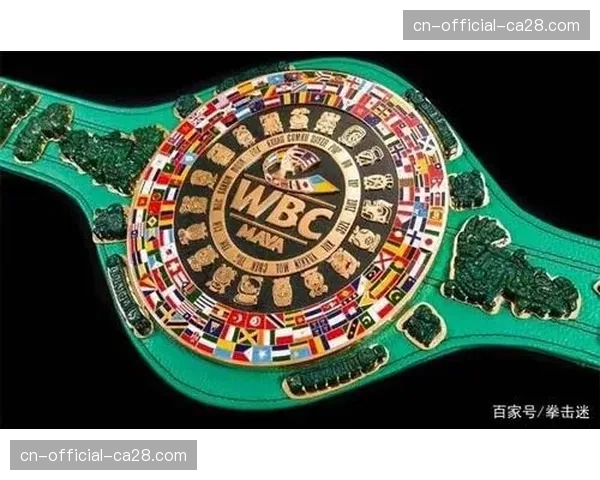 科索沃重量级拳手拉比诺特·霍查吉对阵瑞典选手佩兹曼·塞夫哈尼